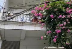 Bán nhà riêng 3 tầng phường Thạnh Mỹ Tây, quận Bình Thạnh... Bán nhà riêng tại Thạnh Mỹ Tây, Hồ Chí Minh 12