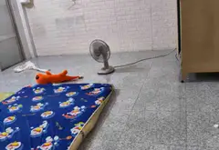 Bán nhà mặt phố tại Tỉnh Lộ 8, mặt tiền rộng 8.5m phù hợp kinh doanh... Bán nhà mặt phố tại Phú Hòa Đông, Hồ Chí Minh 06