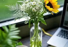 🌟 Nhà Mặt Phố Kinh Doanh Mặt Tiền Rộng - Hóc Môn 🌟... Bán nhà mặt phố tại Đông Thạnh, Hồ Chí Minh 03