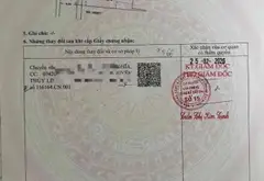 Nhà xinh, đường yên tĩnh, vị trí cực dễ thương... Bán nhà riêng tại An Hội Đông, Hồ Chí Minh 07