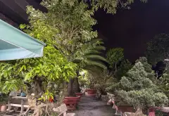 Bán đất biệt thự mặt tiền rộng 13,3m trung tâm quận Gò Vấp... Bán đất tại An Nhơn, Hồ Chí Minh 06