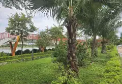 Cơ hội rinh đất vàng Phân Lô Ngọc Thụy, Long Biên giá tốt 9.6 tỷ... Bán đất tại Bồ Đề, Hà Nội 12