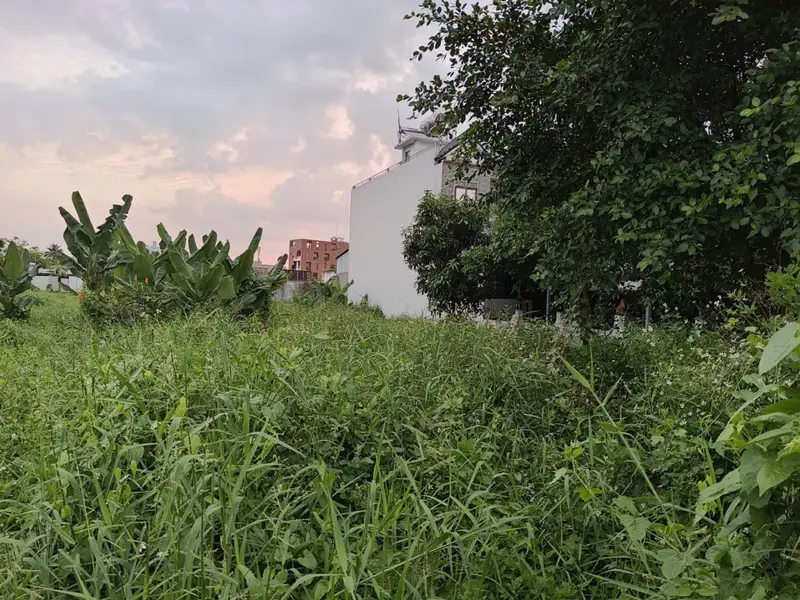 Cơ hội hiếm có sở hữu đất thổ cư rộng tại An Phú Đông, TP HCM... Bán nhà riêng tại An Phú Đông, Hồ Chí Minh 01