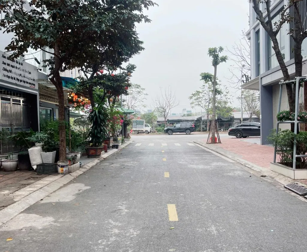 Bán đất phân lô đấu giá vị trí đẹp khu trung tâm Việt Hưng, tiện kinh doanh và xây ở... Bán đất tại Việt Hưng, Hà Nội 01