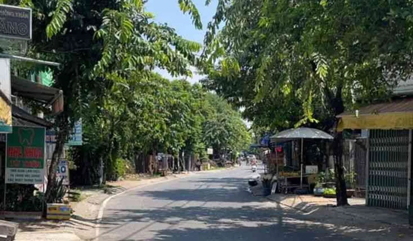 Bán nhà mặt phố tại xã Nguyễn Thị Đành, diện tích 75m2, kinh doanh sầm uất... Bán nhà mặt phố tại Xuân Thới Sơn, Hồ Chí Minh 01
