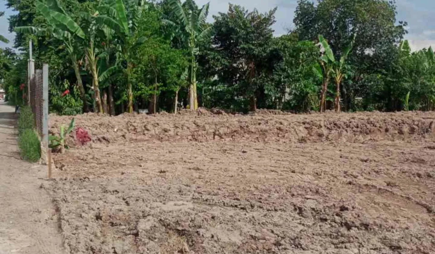 Đất đẹp sổ hồng riêng tại Bà Điểm, Hóc Môn – Hành trình an cư lý tưởng... Bán đất tại Bà Điểm, Hồ Chí Minh 01