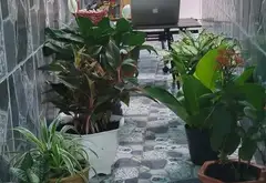 Cơ hội sở hữu nhà cấp 4 mới đẹp tại xã Bà Điểm giá tốt.Trục đường Bà Điểm 9... Bán nhà riêng tại Bà Điểm, Hồ Chí Minh 01