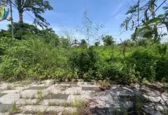 Bán đất ơ KĐT hanak đẹp tuyệt vời... Bán đất tại Từ Sơn, Bắc Ninh 03