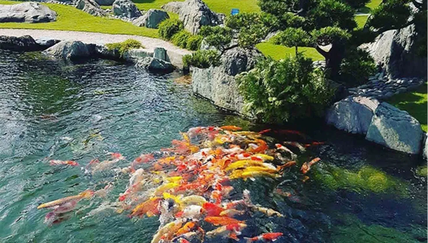 Cơ hội hiếm có sở hữu đất mặt tiền rộng tại Nguyễn Thị Thử với giá cực tốt... Bán đất tại Xuân Thới Sơn, Hồ Chí Minh 01