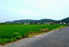 Bán nhà vườn 1 tầng 650m² tại Việt Khê, Thủy Nguyên, mặt tiền rộng 28.5m hướng Đông Nam... Bán nhà riêng tại Việt Khê, Hải Phòng 11