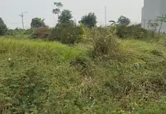 Cơ hội sở hữu đất vàng khu đấu giá phố Kênh, Bắc Ninh... Bán đất tại Ninh Xá, Bắc Ninh 01