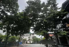 Biệt Thự Thượng Lưu Mặt Tiền Rộng Tại Khu Đô Thị Tây Nam Linh Đàm... Bán biệt thự, liền kề tại Hoàng Mai, Hà Nội 06