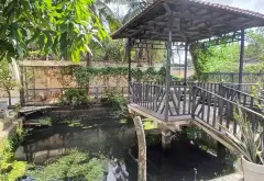 Bán nhà mặt phố xã phường, mặt tiền rộng 14m, diện tích 296.7m2... Bán nhà mặt phố tại Tân Nhựt, Hồ Chí Minh 15