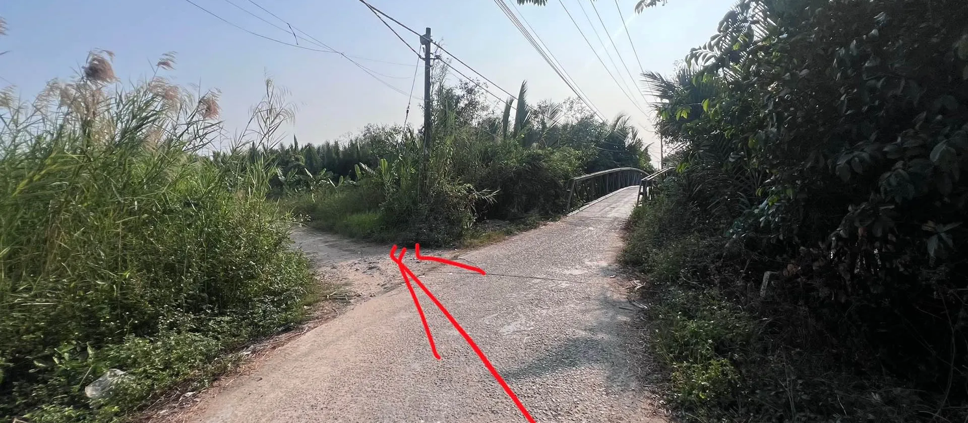 ĐẤT VƯỜN THÍCH HỢP LÀM KHO BÃI - LÀM NHÀ VƯỜN - VIEW RẠCH CỰC THOÁNG MÁT - GẦN KCN HIỆP PHƯỚC - NGU... Bán nhà riêng tại Hiệp Phước, Hồ Chí Minh 01