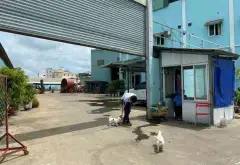 NHÀ Xưởng 3,5 CÔNG MẶT TIỀN NGUYỄN CỬU PHÚ - GỒM CẢ VĂN PHÒNG VÀ NHÀ Ở... Bán nhà mặt phố tại Tân Tạo, Hồ Chí Minh 15