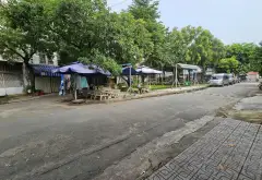 😍 SIÊU PHẨM BIỆT THỰ PHỐ NGUYEN VAN KHOI GO VAP - 27TY9 TL... Bán biệt thự, liền kề tại Thông Tây Hội, Hồ Chí Minh 04