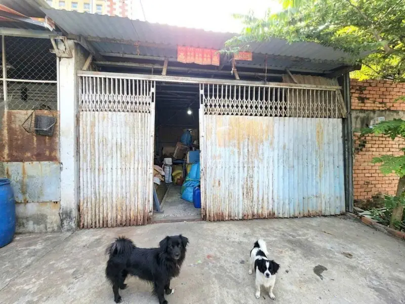Cặp Nhà 2 Mặt Tiền Rộng 8m Phường Bình Trị Đông Giá Sốc... Bán nhà riêng tại Bình Trị Đông, Hồ Chí Minh 01