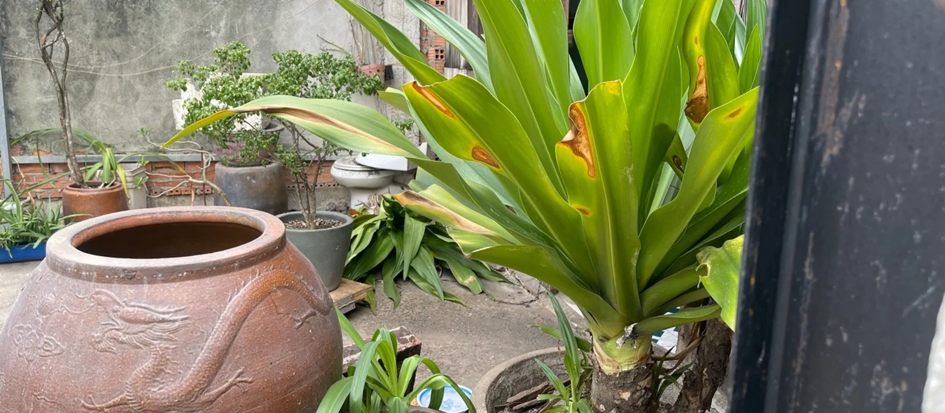 Bán đất 63m2 hẻm xe hơi Phạm Văn Hai, giá 6.5 tỷ... Bán đất tại Tân Sơn Nhất, Hồ Chí Minh 01