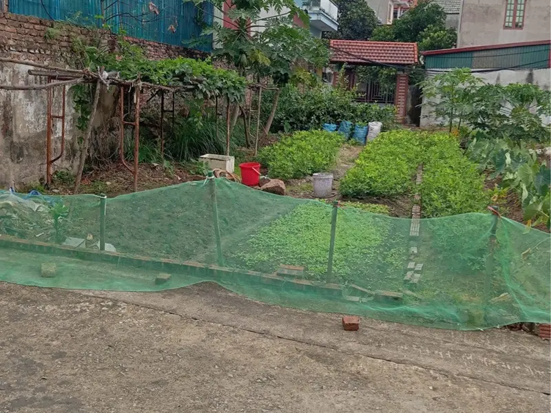 Bán đất thổ cư tại Thôn Núi Đông, Hoàn Sơn, Tiên Du, Bắc Ninh với diện tích 70.3 m2... Bán đất tại Đại Đồng, Bắc Ninh 01