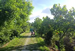 Bán đất 5046m2 hướng nam gần trung tâm xã Vườn Thơm... Bán đất tại Bình Lợi, Hồ Chí Minh 03