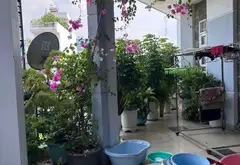 Bán nhà mặt phố góc đường Bùi Minh Trực, Quận 8, nhà 5 tầng kinh doanh đắc địa... Bán nhà mặt phố tại Bình Đông, Hồ Chí Minh 06