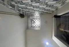 Nhà Đẹp HXH Bình Trị Đông, Giá Tốt, Vào Ở Ngay... Bán nhà riêng tại Bình Trị Đông, Hồ Chí Minh 12