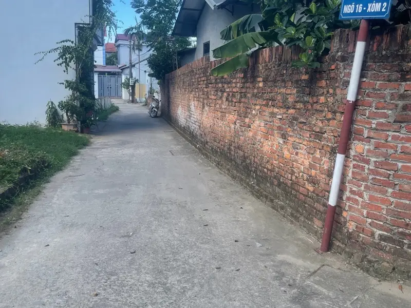 Bán đất thổ cư đường ô tô Đan Tảo, Tân Minh, Sóc Sơn, diện tích 60,2m²... Bán đất tại Sóc Sơn, Hà Nội 01