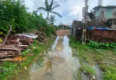 Cơ Hội Vàng Sở Hữu Đất Sát Khu Công Nghiệp An Thọ - Vị Trí Đắc Địa Đầu Tư Sinh Lời Cao... Bán đất tại An Hưng, Hải Phòng 05