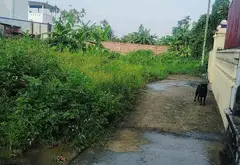 Cơ hội sở hữu đất vị trí đẹp tại Hoa Đông Thủy Nguyên với giá tốt... Bán đất tại Thiên Hương, Hải Phòng 06