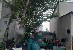 Bán đất hai mặt tiền tại khu dân cư 584 Huỳnh Bá Chánh, Bình Chánh, diện tích 95.5m²... Bán đất tại Tân Nhựt, Hồ Chí Minh 01
