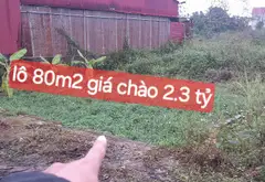 Siêu mẫu SÓC SƠN 🔥 80.3m² Full thổ cư – Mặt tiền 5m, nở hậu 5.55m – CỘNG HÒA, PHÙ LINH... Bán đất tại Sóc Sơn, Hà Nội 01