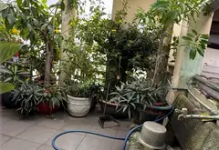 Bán nhà 4 tầng 6PN 80m2 hướng Đông Nam tại Gò Vấp... Bán nhà riêng tại An Hội Tây, Hồ Chí Minh 06