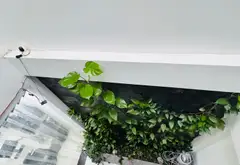 MẶT PHỐ NGÔ THÌ SĨ – DÒNG TIỀN 60TR/THÁNG – VÀI BƯỚC RA BIỂN 0762,658,925 - 30.5 tỷ... Bán nhà mặt phố tại Ngũ Hành Sơn, Đà Nẵng 04