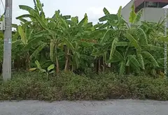 Đất giãn dân mặt đường ô tô tránh tại xã Đoàn Đào, Hưng Yên... Bán đất tại Đoàn Đào, Hưng Yên 03