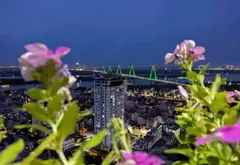 Bán căn hộ cc Sunshine Riverside - Nhà đẹp 100m2 - Lô góc, tầng cao, view Sông Hồng và cầu Nhật Tân... Bán căn hộ chung cư tại Phú Thượng, Hà Nội 12