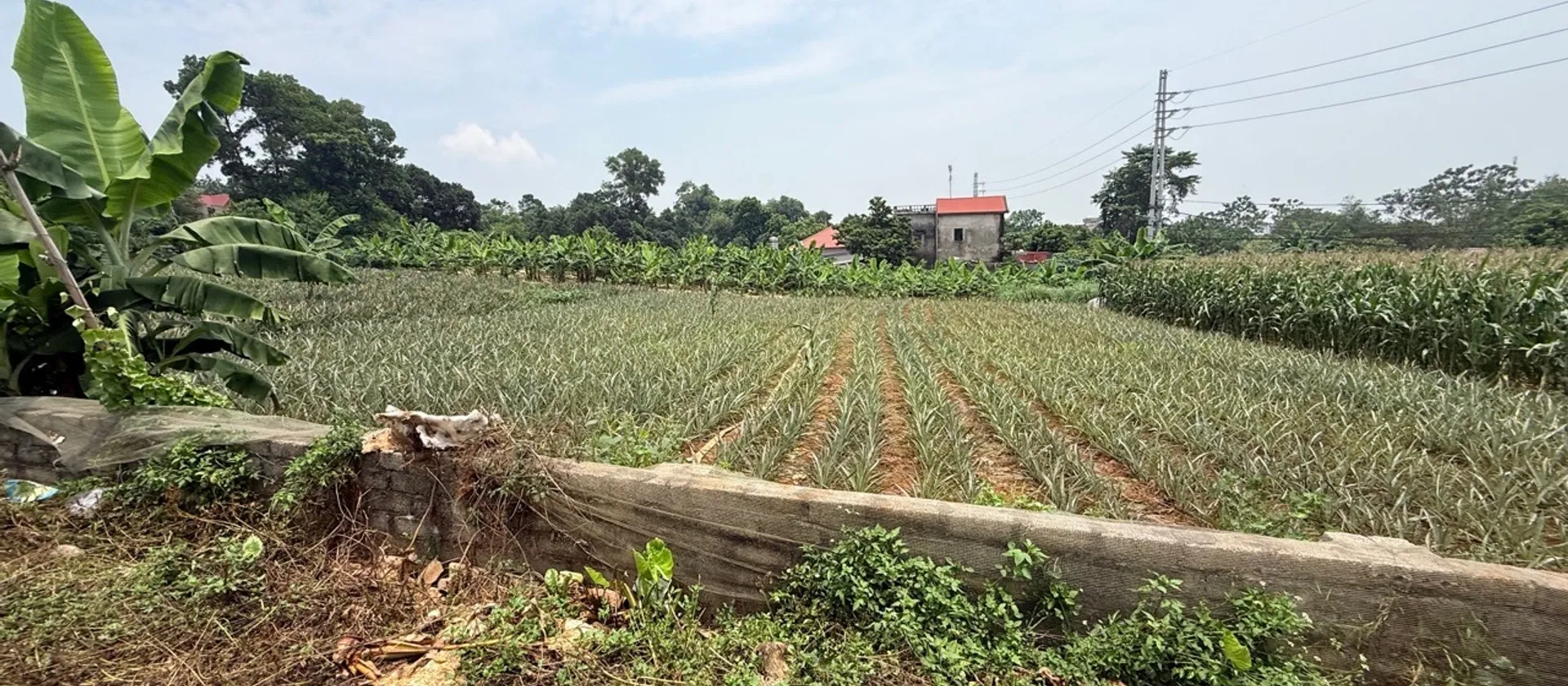 Bán đất lô góc 3 mặt đường Quốc lộ 413, Bất Bạt, Ba Vì, Hà Nội, mặt tiền 58m... Bán đất tại Bất Bạt, Hà Nội 01