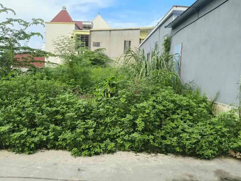 Bán lô đất 73,5m2 mặt tiền 4m hướng Đông Nam tại Hải Phòng... Bán đất tại Thiên Hương, Hải Phòng 01