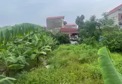 Đất đẹp khu Xích Đằng- Lam Sơn... Bán đất tại Sơn Nam, Hưng Yên 09