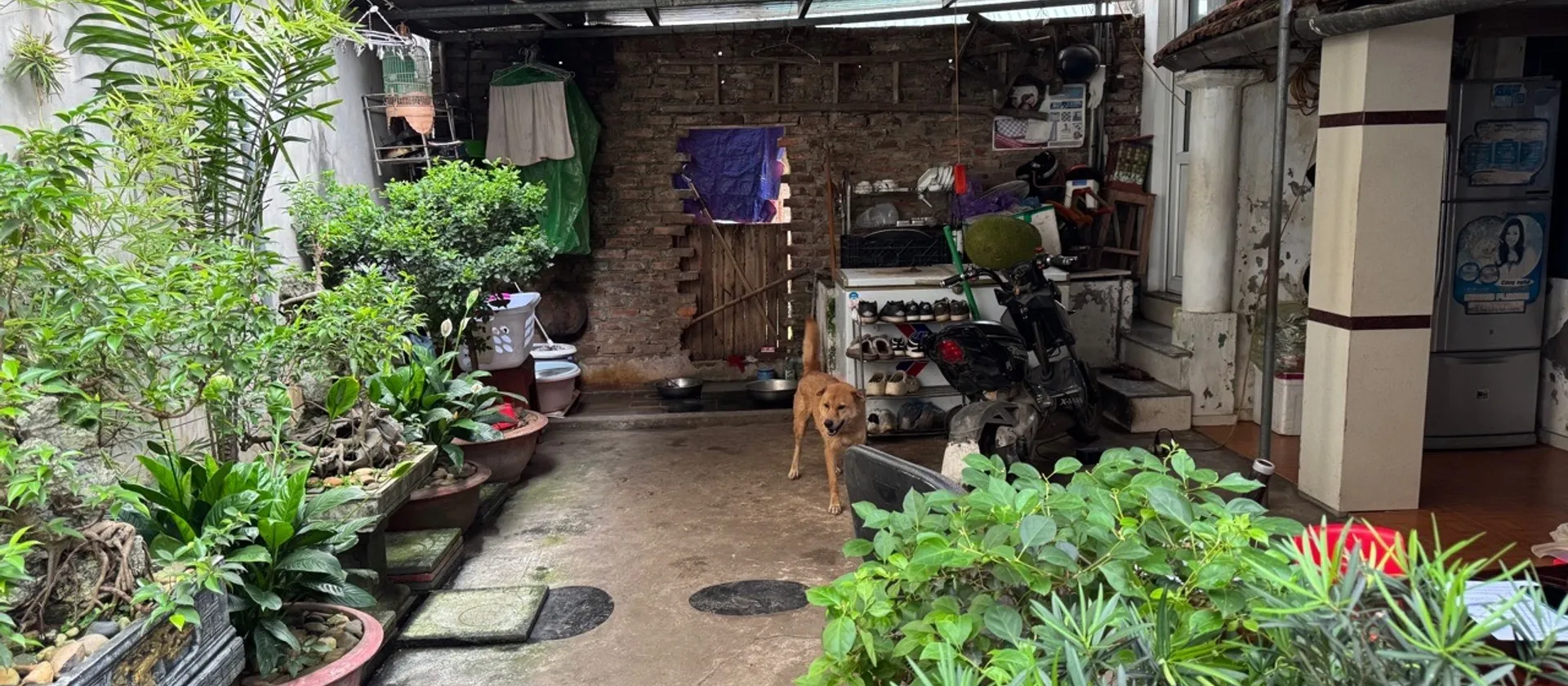Đất cực đẹp 82m2 - giá mềm đầu tư hoặc ở tại Trung Kiên, p. Tây Tựu... Bán nhà riêng tại Tây Tựu, Hà Nội 01