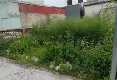 Cơ Hội Vàng Sở Hữu Lô Đất Vuông Vức Tại Xuân Biều, Ngõ Ôtô Vào Tận Nơi... Bán đất tại Phù Liễn, Hải Phòng 02