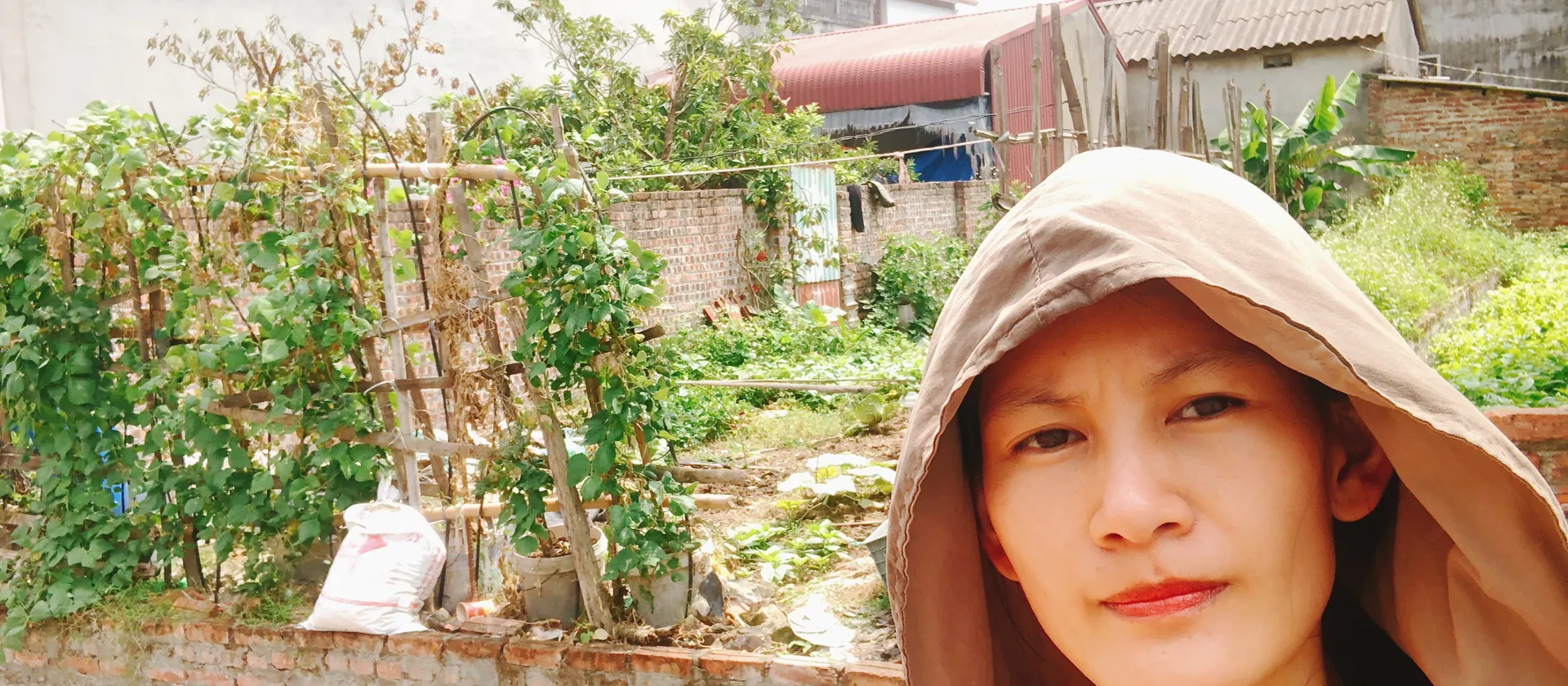 🔆Bán đất Mai Nội - Sóc Sơn 98.8m2 ô tô tải vào đất gần các cụm CN và sân bay Nội Bài... Bán đất tại Sóc Sơn, Hà Nội 01