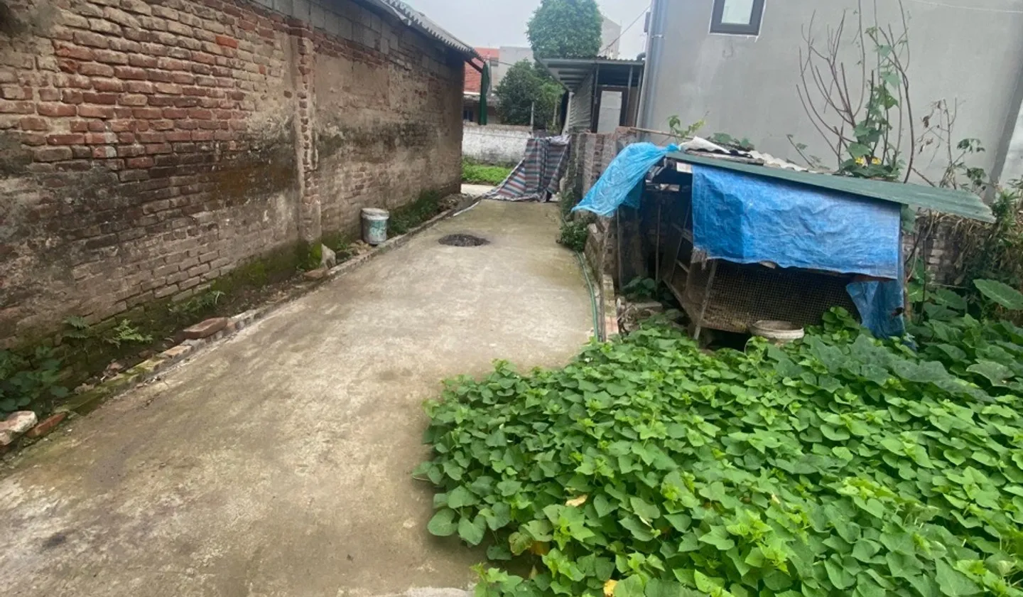 Đất nền 42m² - Ngọc Lịch, Văn Lâm, Hưng Yên - Pháp lý đầy đủ, giá 1.9 tỷ... Bán đất tại Như Quỳnh, Hưng Yên 01