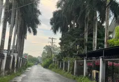 Bán đất mặt tiền Xóm Dầu Bình Chánh diện tích 1500m2... Bán đất tại Tân Nhựt, Hồ Chí Minh 01