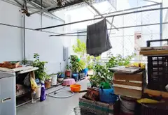 Bán nhà mặt phố tại xã Gò Xoài, diện tích 76m², 3 tầng, pháp lý rõ ràng... Bán nhà mặt phố tại Bình Hưng Hòa, Hồ Chí Minh 15