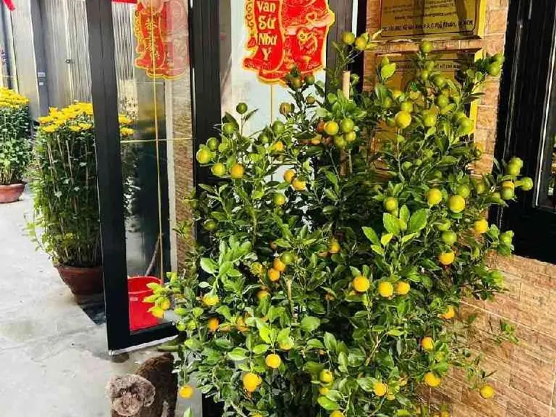 Nhà 2 Tầng 36.7m² - gần Mặt tiền sát hẻm xe hơi - Đức Nhuận, Phú Nhuận, TP Hồ Chí Minh - 6.7 tỷ... Bán nhà riêng tại Đức Nhuận, Hồ Chí Minh 01