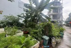 Bán đất lô góc 98m2 khu Bình Thành, Bình Tân giá 6.5 tỷ... Bán đất tại Bình Tân, Hồ Chí Minh 05