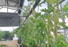Bán nhà mặt phố 4 tầng khu dân cư Vĩnh Lộc, mặt tiền 4.3m, giá 14.8 tỷ... Bán nhà mặt phố tại Bình Tân, Hồ Chí Minh 13