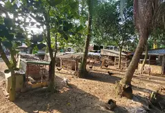Nhà Mặt Phố View Sông Rộng 938m2 Tại Bình Chánh... Bán nhà mặt phố tại Bình Lợi, Hồ Chí Minh 04