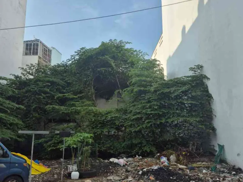 Đất 223m² Lê Trọng Tấn, ngang 10,4m – Vị trí vàng kinh doanh CHDV Tân Phú, giá 19,8 tỷ... Bán đất tại Tân Sơn Nhì, Hồ Chí Minh 01