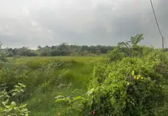 Siêu phẩm nhà đất 2.488m2 giá siêu tốt tại Long Phước Quận 9... Bán nhà riêng tại Long Phước, Hồ Chí Minh 10